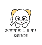 ほしねこ, ほし (韓国語 ＆ 日本語)（個別スタンプ：22）