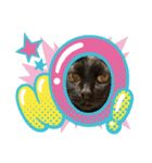 黒猫魂（個別スタンプ：1）