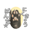 黒猫魂（個別スタンプ：4）