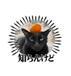 黒猫魂（個別スタンプ：8）