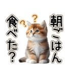 毎日使える日常会話☆仲の良い人用☆猫ネコ（個別スタンプ：7）