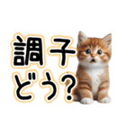 毎日使える日常会話☆仲の良い人用☆猫ネコ（個別スタンプ：10）