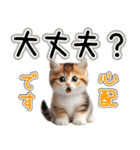 毎日使える日常会話☆仲の良い人用☆猫ネコ（個別スタンプ：12）