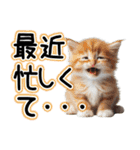 毎日使える日常会話☆仲の良い人用☆猫ネコ（個別スタンプ：23）