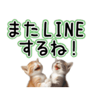 毎日使える日常会話☆仲の良い人用☆猫ネコ（個別スタンプ：26）