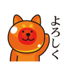 いくら柴犬（個別スタンプ：1）