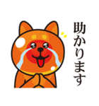 いくら柴犬（個別スタンプ：11）