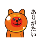 いくら柴犬（個別スタンプ：16）