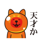 いくら柴犬（個別スタンプ：19）