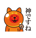 いくら柴犬（個別スタンプ：20）