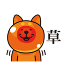 いくら柴犬（個別スタンプ：30）