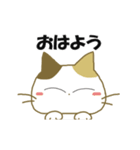 動くみけ猫みけさん・4（個別スタンプ：1）