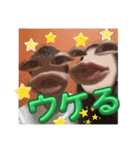 小島夫婦2（個別スタンプ：3）