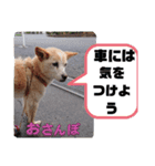 マロンだいすきだよ（個別スタンプ：2）