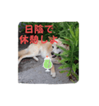 マロンだいすきだよ（個別スタンプ：3）