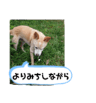 マロンだいすきだよ（個別スタンプ：7）