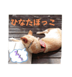 マロンだいすきだよ（個別スタンプ：8）