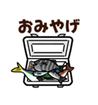 釣り/釣り人/フィッシング/魚釣り/スタンプ（個別スタンプ：34）