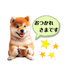 かわいい柴犬の犬スタンプ（個別スタンプ：16）