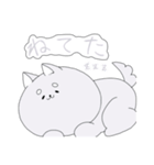 りちゃとゆちゃ 2（個別スタンプ：13）