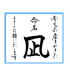 筆文字で命名書(2024年ランキングTOP10)（個別スタンプ：5）