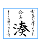 筆文字で命名書(2024年ランキングTOP10)（個別スタンプ：9）