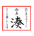 筆文字で命名書(2024年ランキングTOP10)（個別スタンプ：10）