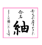 筆文字で命名書(2024年ランキングTOP10)（個別スタンプ：29）