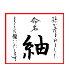 筆文字で命名書(2024年ランキングTOP10)（個別スタンプ：30）