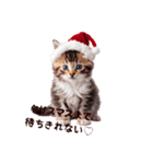 子猫スタンプ～クリスマスバージョン～（個別スタンプ：4）