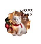 子猫スタンプ～クリスマスバージョン～（個別スタンプ：11）