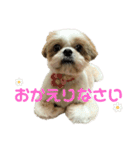 みくものスタンプ③（個別スタンプ：1）