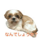 みくものスタンプ③（個別スタンプ：3）