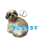 みくものスタンプ③（個別スタンプ：15）