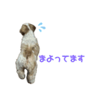 みくものスタンプ③（個別スタンプ：21）