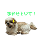 みくものスタンプ③（個別スタンプ：30）