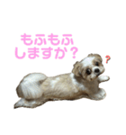 みくものスタンプ③（個別スタンプ：36）