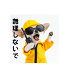 チワワの現場仕事⭐グラサン犬（個別スタンプ：31）