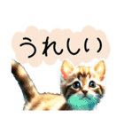 えぶりでぃ猫（個別スタンプ：9）