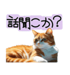 えぶりでぃ猫（個別スタンプ：22）