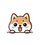 柴犬スタンプ2(文字なし)（個別スタンプ：1）