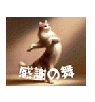 『○○の舞』を踊る猫たち（個別スタンプ：5）