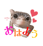 我が家の小さな恐竜たち（個別スタンプ：2）