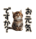 毎日使える日常会話☆敬語☆猫.ネコ.子猫（個別スタンプ：3）