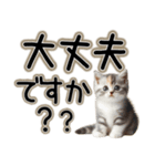 毎日使える日常会話☆敬語☆猫.ネコ.子猫（個別スタンプ：6）