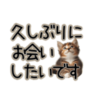 毎日使える日常会話☆敬語☆猫.ネコ.子猫（個別スタンプ：9）