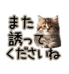 毎日使える日常会話☆敬語☆猫.ネコ.子猫（個別スタンプ：13）