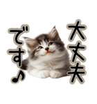 毎日使える日常会話☆敬語☆猫.ネコ.子猫（個別スタンプ：14）