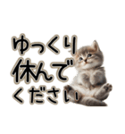 毎日使える日常会話☆敬語☆猫.ネコ.子猫（個別スタンプ：20）