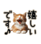 毎日使える日常会話☆敬語☆猫.ネコ.子猫（個別スタンプ：21）